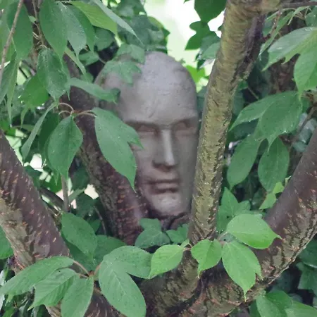 Wohnen Im Burghotel Lorch am Rhein