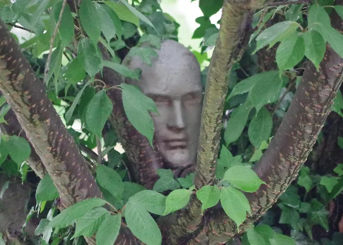 Wohnen Im Burghotel Lorch am Rhein